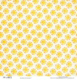 Sunshine On My Mind - Paper & Sticker Kit