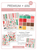 Monthly Subscription Box - Premium + 6x6