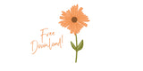 Flower SVG Cut File - Download