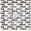 Its Spooky Season - Paper & Sticker Kit 12X12 (Ds)