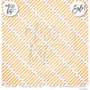 Grade School - Paper & Sticker Kit 12X12 (Ds)