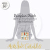 Pumpkin Patch - 6X6 Paper Pack (Ss)