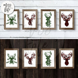 Red & Green Reindeer Heads - 8X10 Prints