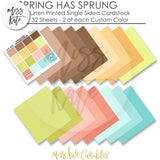 Spring Has Sprung - Linen Printed Smooth Cardstock Single-Sided